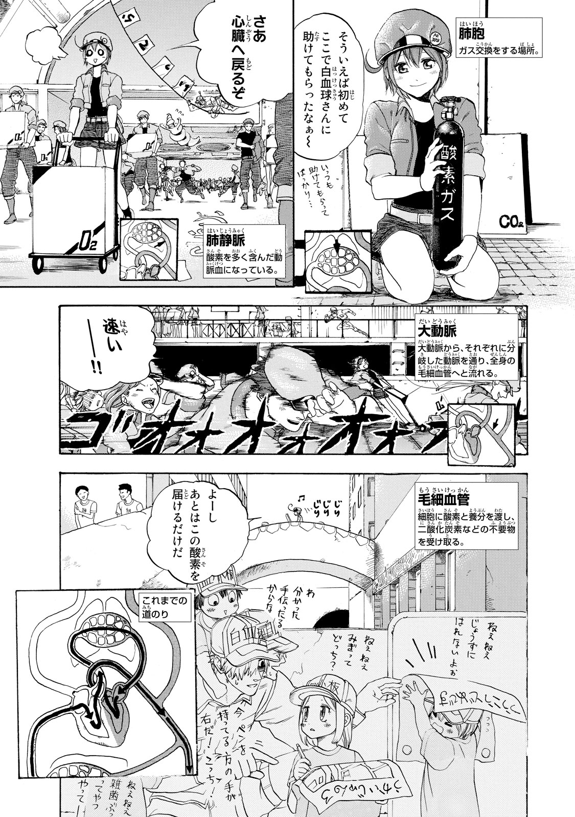 Hataraku Saibou - Chapter 10 - Page 17